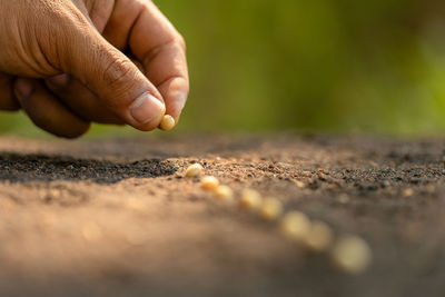 Close-up of person holding hands