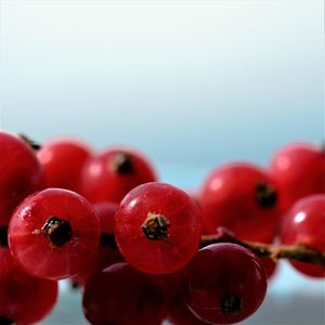 Close-up of cherries against sky over white background