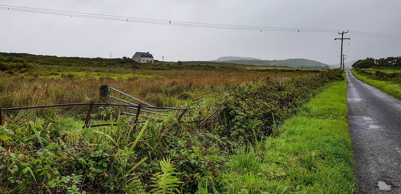 SCENIC VIEW OF LANDSCAPE