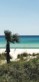 Scenic view of sea against clear blue sky