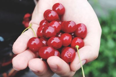 Close-up of hand holding strawberries