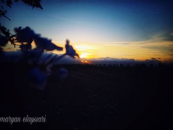 Silhouette trees on field against sky during sunset