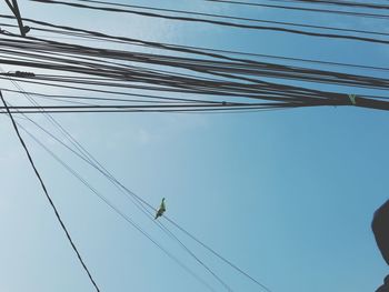 Low angle view of birds on cable against sky