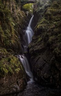 View of waterfall in forest