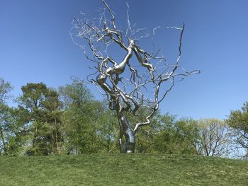 Bare tree on field against clear sky