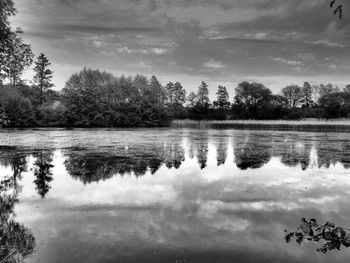 Reflection of trees in lake against sky