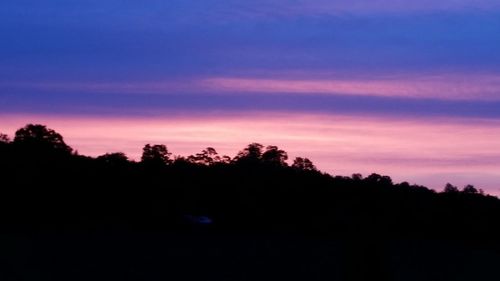 Silhouette trees against sky at sunset