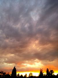 Silhouette of trees against cloudy sky