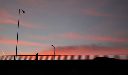 Silhouette of trees at sunset