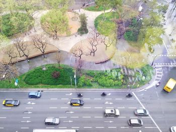 High angle view of cars on road