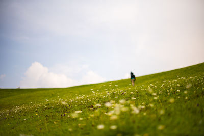 The trekker scenic view of grassy field against sky