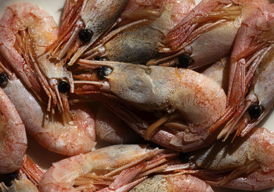 High angle view of boiled shrimp for sale in market