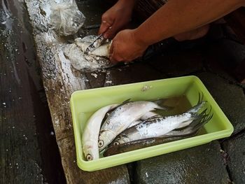 High angle view of people in fish