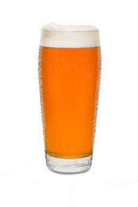 Close-up of beer glass against white background