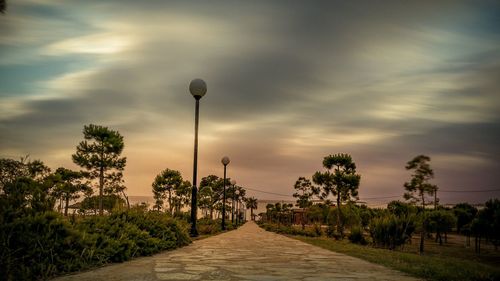 Street amidst trees against sky