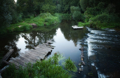 Scenic view of stream along trees