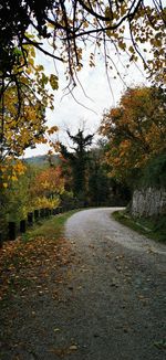 Road amidst trees during autumn