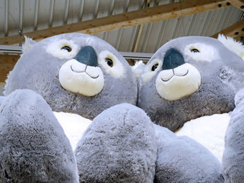 Close-up of stuffed toy on snow