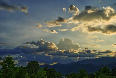 Low angle view of trees against sky during sunset