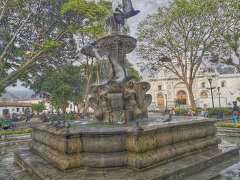 Statue by fountain against trees and building