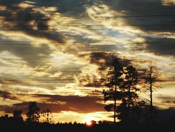 Low angle view of silhouette trees against dramatic sky