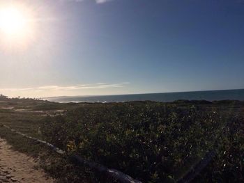 Scenic view of landscape against clear sky