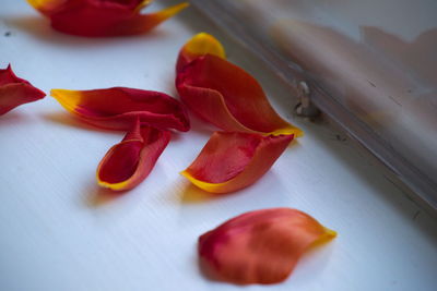 Close-up of red fruit