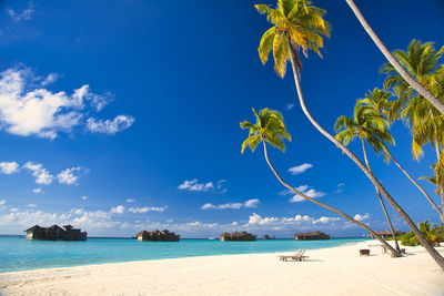 Beautiful coral reef sea of the maldives in the indian ocean