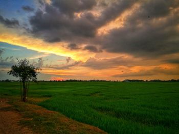 Scenic view of agricultural field against dramatic sky