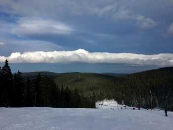 Snow covered land and trees against sky