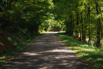 Empty road amidst trees in forest