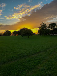 Scenic view of field against sky during sunset