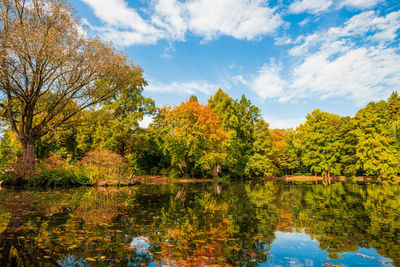 Trees by lake against sky during autumn