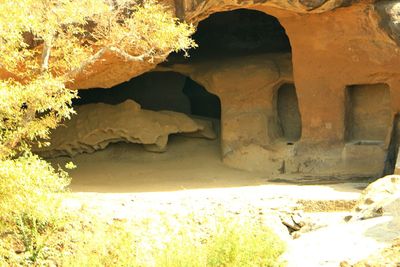 Built structure with trees in background