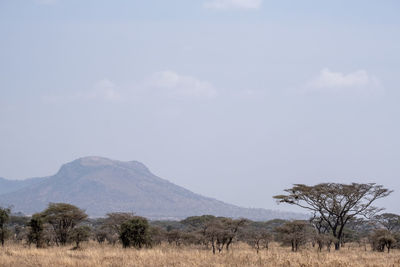 Scenic view of landscape against sky