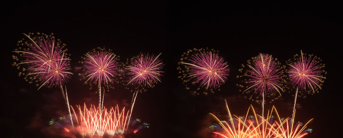 Low angle view of firework display against sky at night