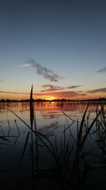 Silhouette plants by lake against sky during sunset