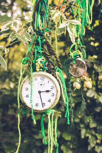 Close-up of clock hanging on tree