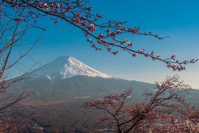 View of snow covered mountain