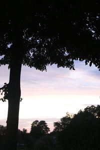 Silhouette trees by lake against sky during sunset