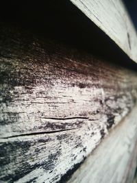 Close-up of wooden plank