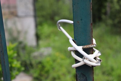 Close-up of metal tied to pole 