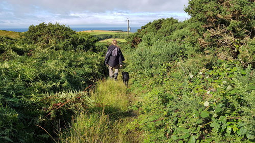 Rear view of woman walking with dog on footpath