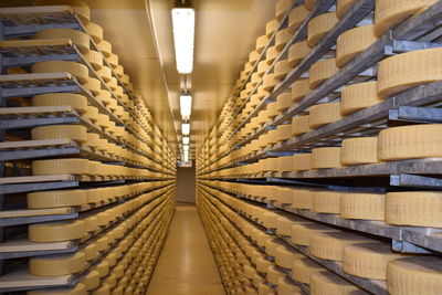 Cheese factory in italy
