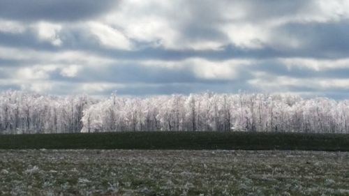 Scenic view of field against cloudy sky