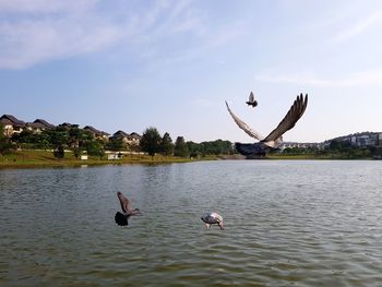 Swans swimming in lake against sky