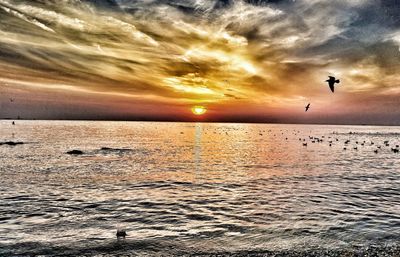 Silhouette birds flying over sea against sky during sunset