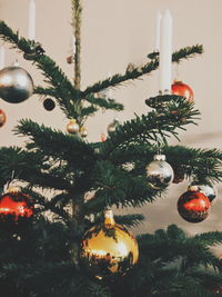 Close-up of illuminated christmas tree at night