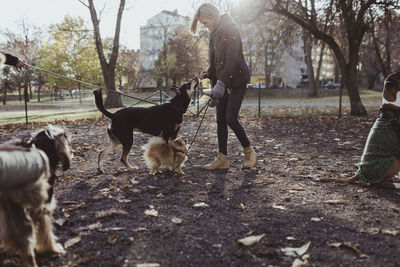 Full length side view of female pet owner standing with dogs at park