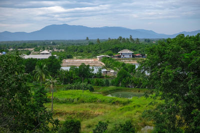 Trees and houses on field against sky